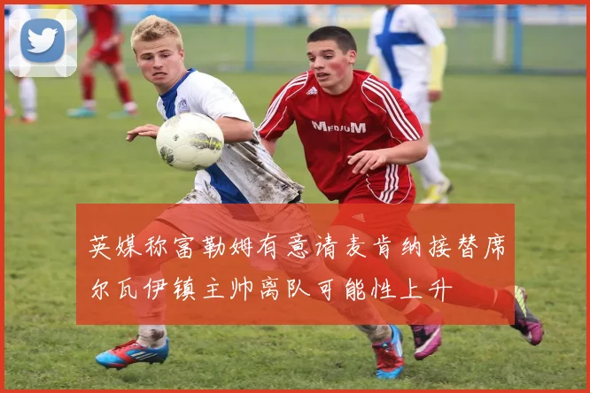英媒称富勒姆有意请麦肯纳接替席尔瓦伊镇主帅离队可能性上升