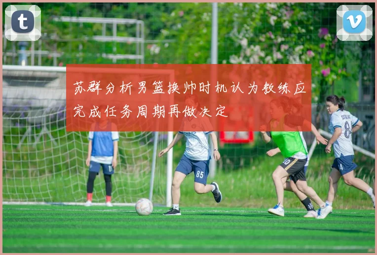 苏群分析男篮换帅时机认为教练应完成任务周期再做决定